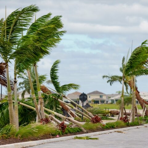 Hurricane-Milton-Threatens-$100-Billion-Losses-for-Insurers