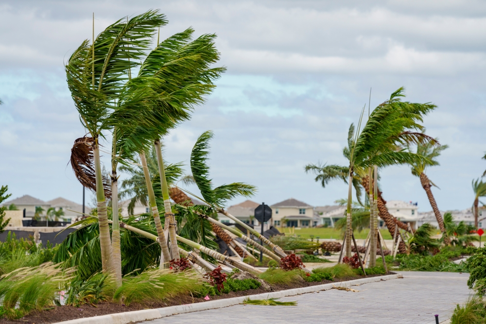 Hurricane-Milton-Threatens-$100-Billion-Losses-for-Insurers