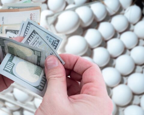 u.s.-egg-prices-hit-new-high-despite-no-bird-fl