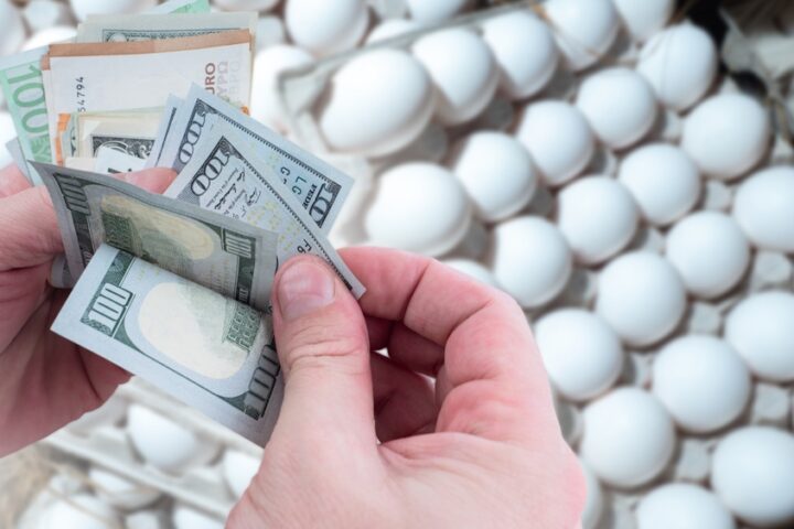 u.s.-egg-prices-hit-new-high-despite-no-bird-fl